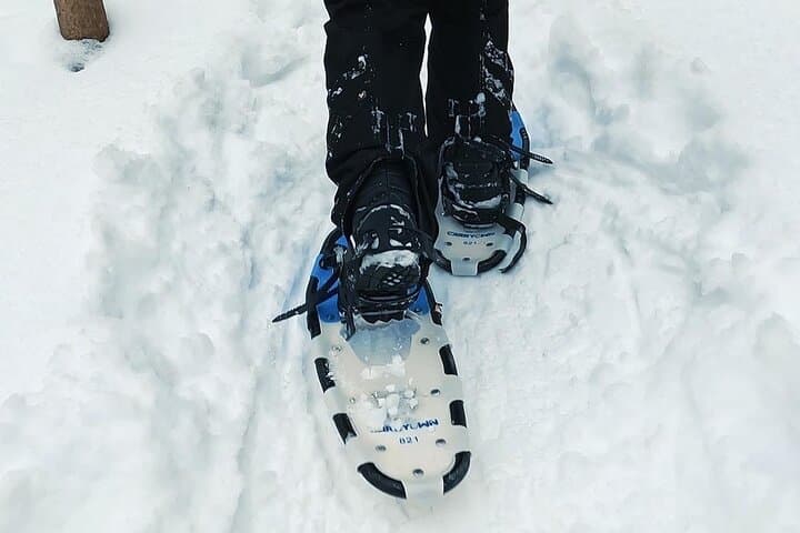 Blue Mountain & Scenic Caves Snowshoe Day Trip (Collingwood) photo 6