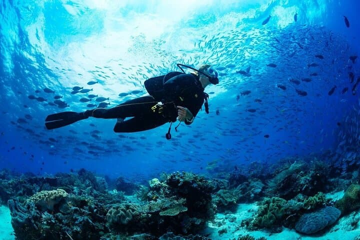 Discover Scuba Diving at Maroma Beach — Beginner Scuba Experience in Riviera Maya photo 3