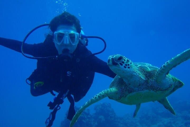 Riviera Maya Scuba Referral: Finish Open Water Certification with Maroma Beach Dives photo 2