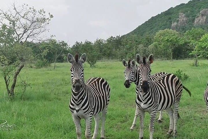 Shai Hills Half-Day Safari: Hike, Rock-Scramble & Wildlife Near Accra