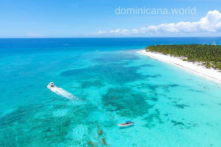 Saona Island Natural Pool & Starfish Tour from Punta Cana — Fast Boat and Catamaran