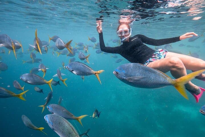 Private Snorkelling at Biyadhoo Reef — 2-Hour South Malé Atoll Experience