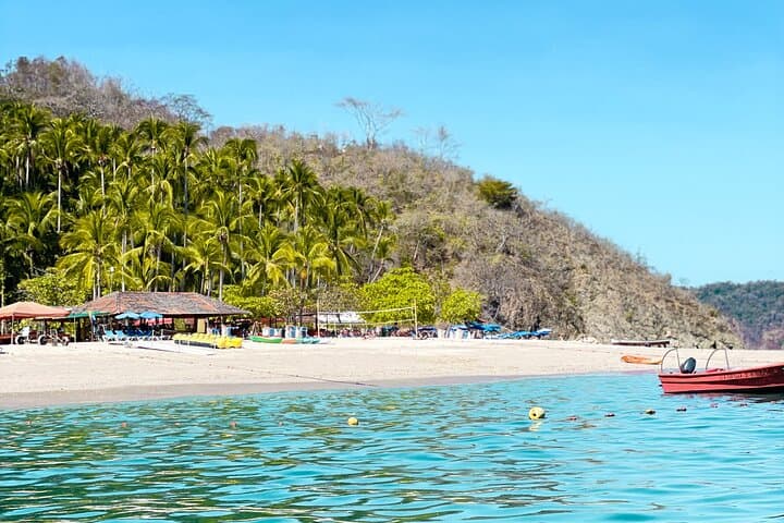 Day Trip to Isla Tortuga from Jacó: Snorkel, Dolphins & Beach Lunch photo 5