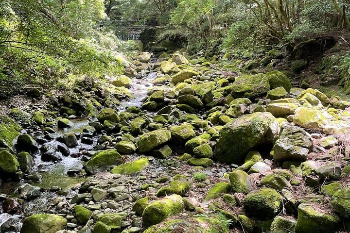 Mt. Inunaki Trek: Waterfall Meditation, Shugen‑do Rituals & Onsen Recovery photo 6