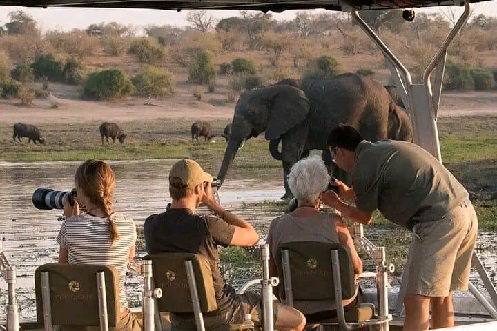 Private Full-Day Chobe Safari: Game Drive & River Cruise from Livingstone photo 3