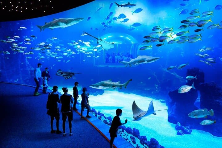 Gran Canaria Sea & Mountain Day Tour — Poema del Mar, Guayadeque Cave Lunch & Agüimes