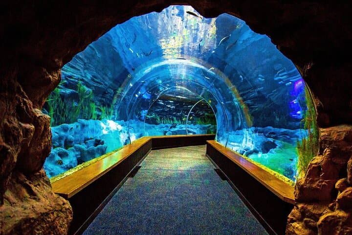 Gran Canaria Sea & Mountain Day Tour — Poema del Mar, Guayadeque Cave Lunch & Agüimes photo 2