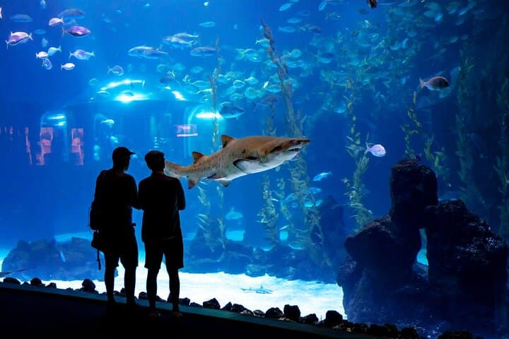 Gran Canaria Sea & Mountain Day Tour — Poema del Mar, Guayadeque Cave Lunch & Agüimes photo 6