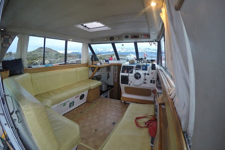 Beagle Channel Yacht Excursion on Tango — Ushuaia Wildlife & Les Eclaireurs Lighthouse photo 5