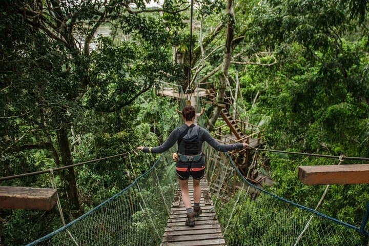 4-Day Tambopata Amazon Jungle Tour From Cusco — Sandoval Lake, Clay Licks & Ese Eja Visit