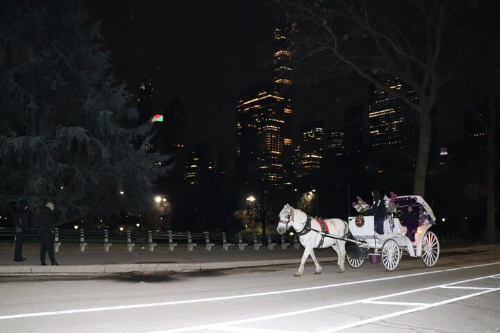Central Park Horse Carriage Ride: 45-Minute Scenic Tour from Columbus Circle photo 4