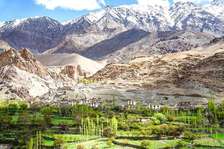 Ladakh Sham Valley Trek: 3-Day Beginner Trek from Leh to Hemis photo 6