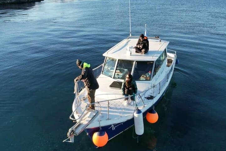 Beagle Channel Yacht Excursion on Tango — Ushuaia Wildlife & Les Eclaireurs Lighthouse photo 4