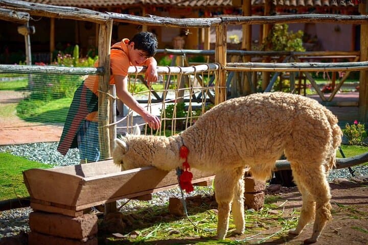 2-Day Sacred Valley Tour: Pisac, Moray, Maras & Ollantaytambo