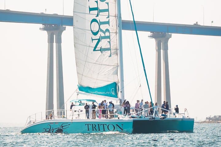San Diego Harbor Catamaran Cruise — Largest Catamaran Sightseeing & Cocktail Experience