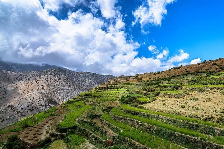 Full-Day Trek to Imlil and Aremd: High Atlas Day Hike from Marrakech photo 3