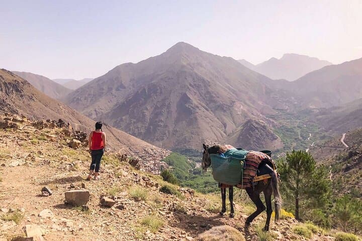Full-Day Trek to Imlil and Aremd: High Atlas Day Hike from Marrakech