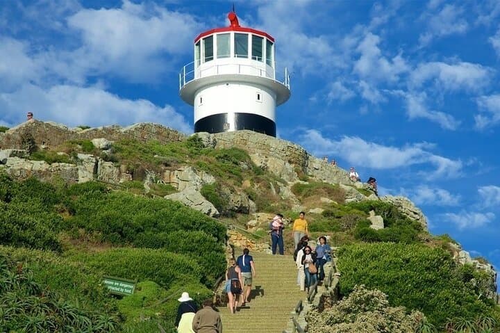 Cape Point Full Day Tour: Chapman's Peak, Boulders Beach Penguins & Cape Point Lighthouse