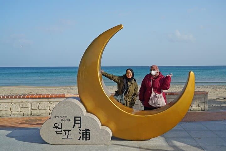 Pohang Drama Locations Day Tour — Home Town Cha Cha Cha, Camellia Blooms & Coastal Sights