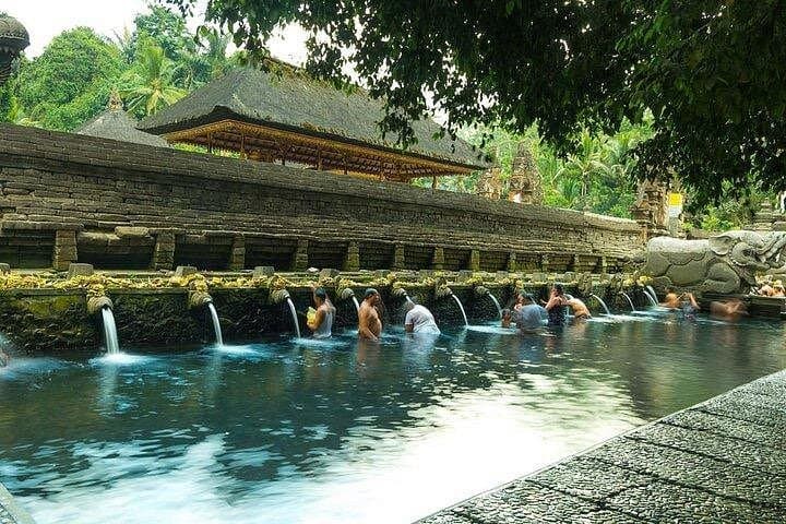 Ubud Monkey Forest, Tegalalang Rice Terraces, Tirta Empul & Waterfalls — Full-Day Tour photo 1