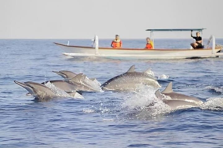 Early-Morning Dolphin Watching at Lovina Beach — Lovina, Wanagiri & Ulun Danu photo 1