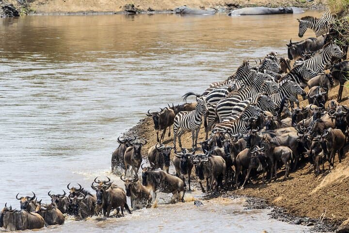 4-Day Budget Camping Safari: Serengeti, Ngorongoro & Lake Manyara photo 3