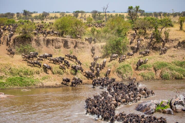 4-Day Budget Camping Safari: Serengeti, Ngorongoro & Lake Manyara photo 4