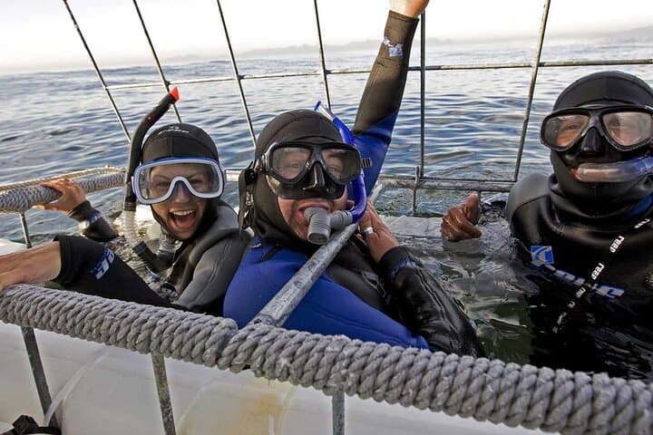 Shark Cage Diving Cape Town — Great White Cage Dive in Gansbaai photo 6