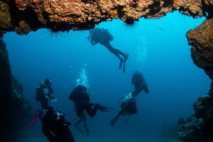 First Breath Underwater: 2-Hour Scuba Try-Dive at Playa Chica, Puerto del Carmen photo 5
