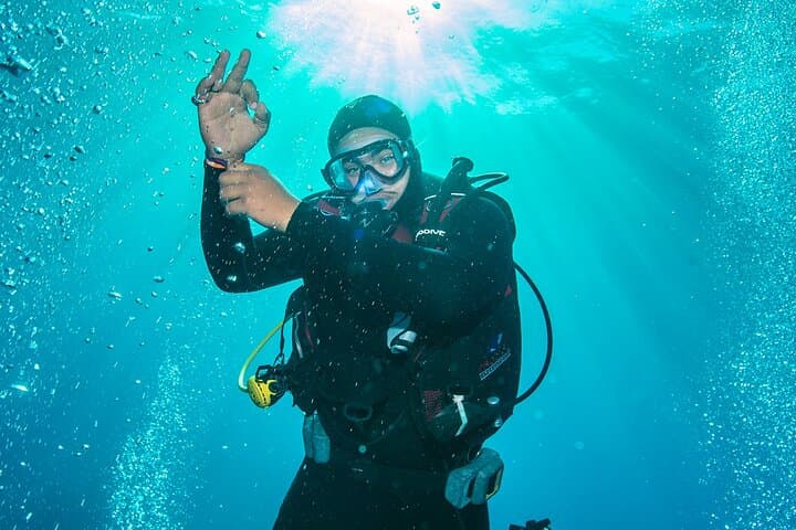 Aqaba Shore Night Dive: Certified One-Dive South Beach Experience photo 2