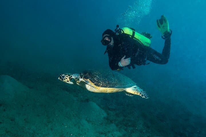Aqaba Shore Night Dive: Certified One-Dive South Beach Experience photo 3