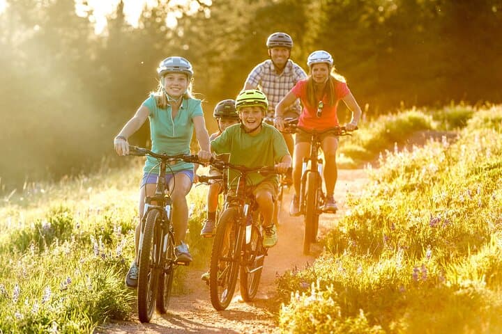 Explore Northern Bohemia’s Thrilling Singletrack on a Guided Mountain Bike Tour from Prague photo 4