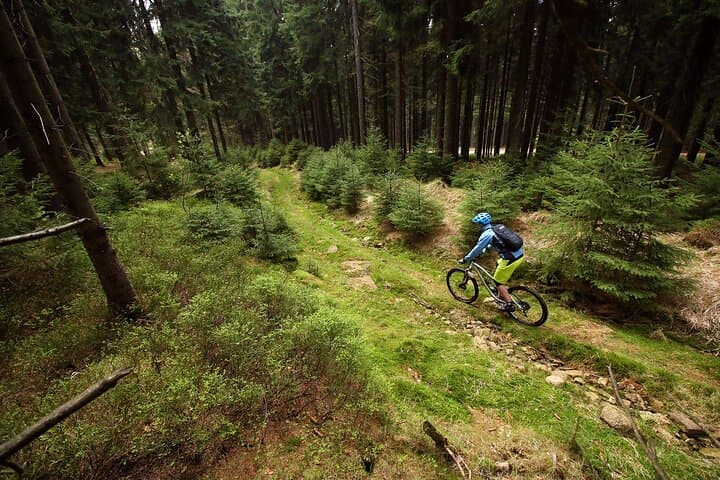 Explore Northern Bohemia’s Thrilling Singletrack on a Guided Mountain Bike Tour from Prague photo 5