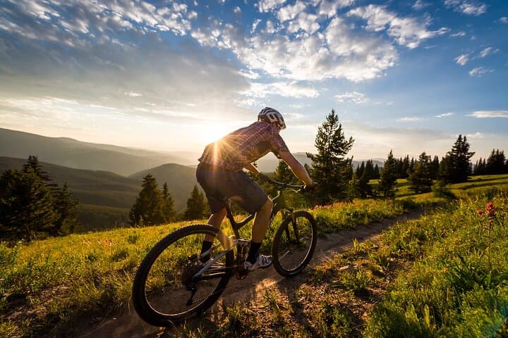 Explore Northern Bohemia’s Thrilling Singletrack on a Guided Mountain Bike Tour from Prague photo 6
