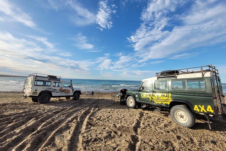 Off-Road 4x4 Adventure Around Puerto Madryn: Beaches, Cliffs & Coastal Views photo 5