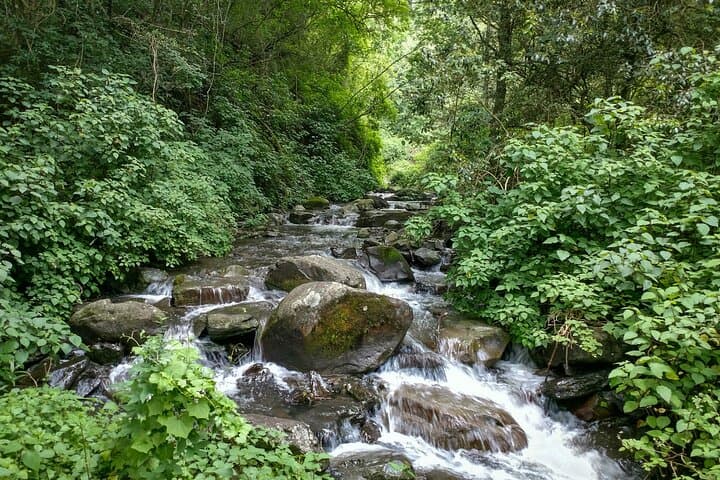 Falls-to-Falls Hike: 4-Day Natal Midlands Slack-Pack with Zipline & Bird Hides photo 3