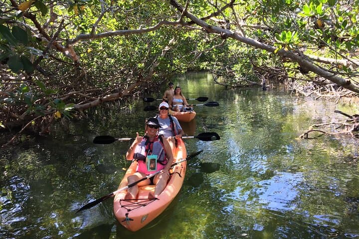 Mangroves and Manatees: Guided Kayak Eco Tour in Key Largo
