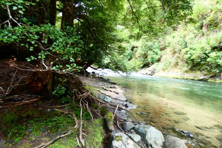 Scenic Rafting from Napier: Family-Friendly Grade 2 River Trip with Māori Stories photo 6