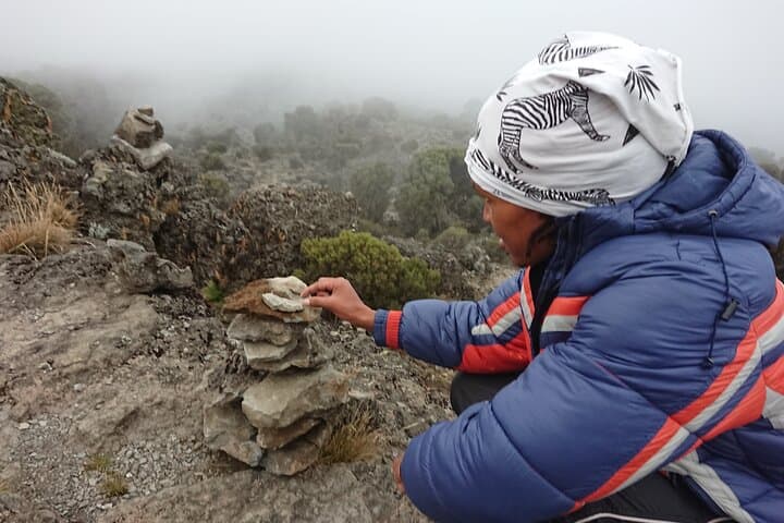 7-Day Kilimanjaro Climb via Machame Route — Private Guided Summit Trek photo 2