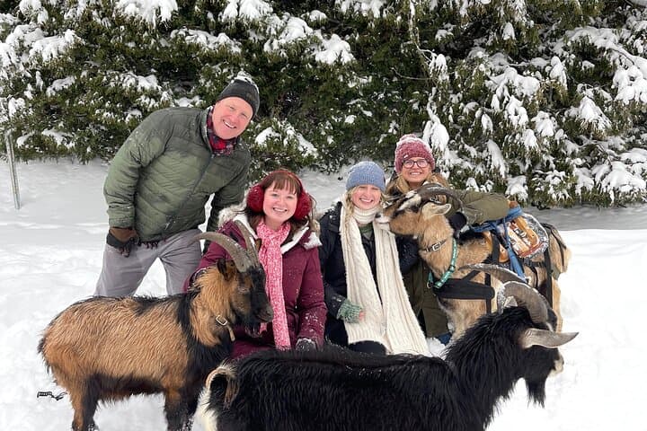 Snowshoeing with Mountain Goats in Jacques-Cartier Valley — Private Winter Adventure