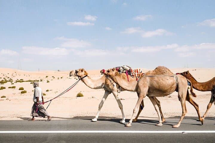 Abu Dhabi Hidden Gems: Self-Guided Treasure Hunt & 7-Day Discovery Pass photo 6