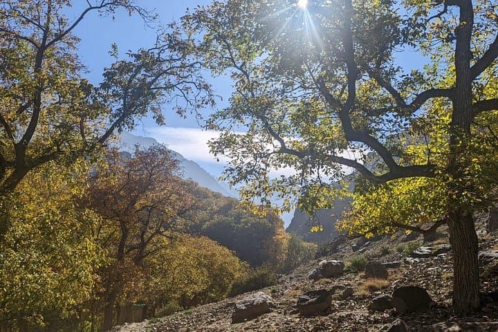 Atlas Mountains Three Valleys Day Tour from Marrakech: Imlil, Berber Villages & Waterfalls photo 4