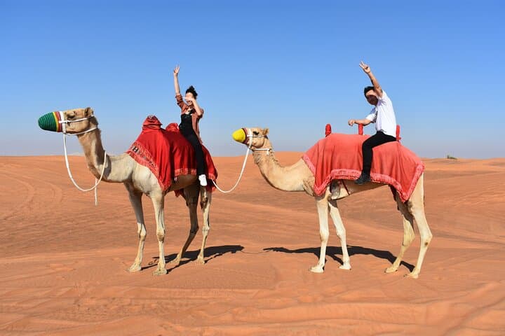 Self-Drive Polaris RZR Adventure and Sandboarding in Dubai's Lahbab Desert photo 2