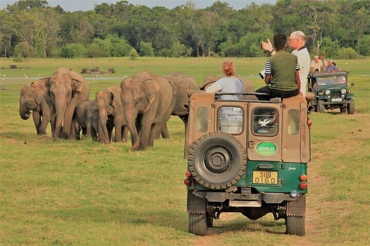 Tailor-Made Multi-Day Private Tours in Sri Lanka — Custom 7–12 Day Itineraries photo 5
