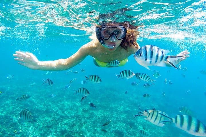Marsa Mubarak Snorkel from Marsa Alam: Boat Day, Buffet Lunch & Dugong Encounters photo 2