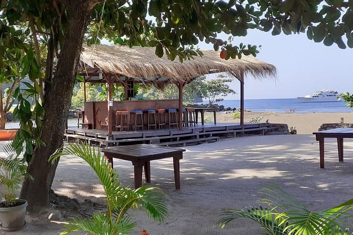 Stress-Free Transfer to Buccament Beach from Kingstown — Airport & Cruise Pickup photo 4
