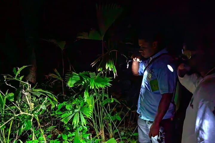 Night Wildlife Hike in Manzanillo Refuge — Caribbean Costa Rica After Dark