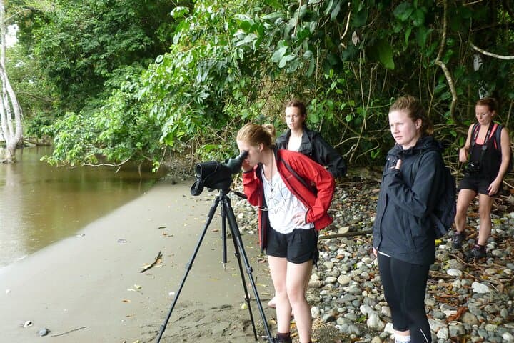 Sirena Station Overnight: Two-Day Corcovado Rainforest Immersion photo 2