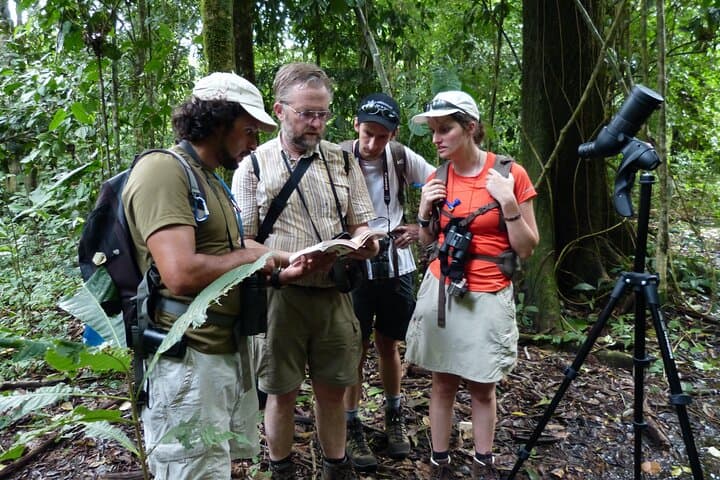 Sirena Station Overnight: Two-Day Corcovado Rainforest Immersion photo 4