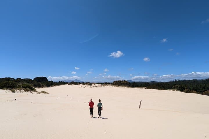6-Day Tasmanian Explorer: Cradle Mountain, Freycinet & Bay of Fires from Hobart photo 5